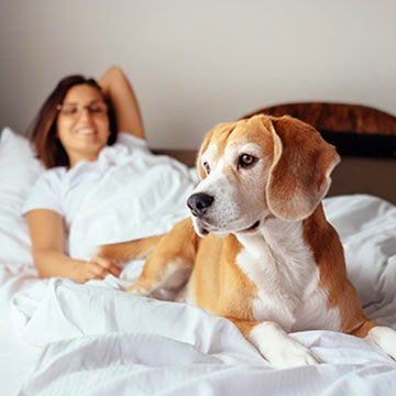 Are pets allowed at Kress Inn?